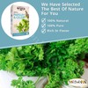 2 Pack Herbal Imtenan Parsley And Celery Tea Bag Natural
