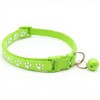 Spring Bloom Cat Collar Set – Cute Kitten Collars with