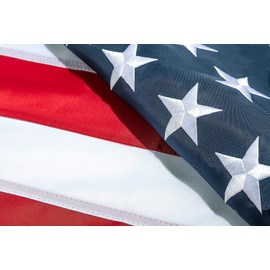 Linyup American Flag 8x12 FT Outdoor Made in USA | Heavy Duty | Embroidered Stars | Sewn Stripes | 210D Oxford Nylon | Quadruple Stitched Fly End | Brass Grommet for Easy Display | American Flag…