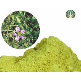 AYURVEDASHREE Fagonia cretica Powder 100 Gm | Dhamasa | Gluten Free | Non GMO | Vegan