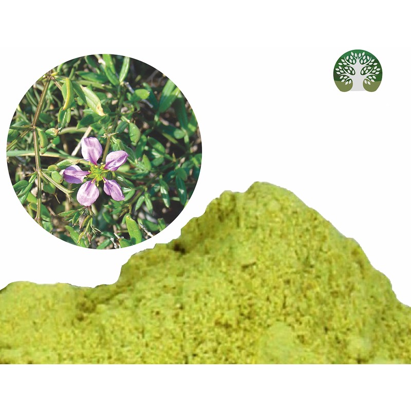 AYURVEDASHREE Fagonia cretica Powder 100 Gm | Dhamasa | Gluten