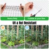 NONMON Bird Netting 5 x 100 ft Heavy Duty Garden