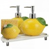 Singhoow 4 Pcs Lemon Kitchen Decor Ceramic Soap Dispenser Set
