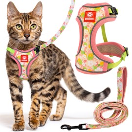 Petgrove Cat Harness and Leash Set for Walking, Escape Proof Vest Harnesses for Cats, Breathable Mesh with Reflective Strips (Tropical Paradise, Small)