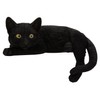 Vivid Arts - Laying Black Cat - XRL-DC61-D