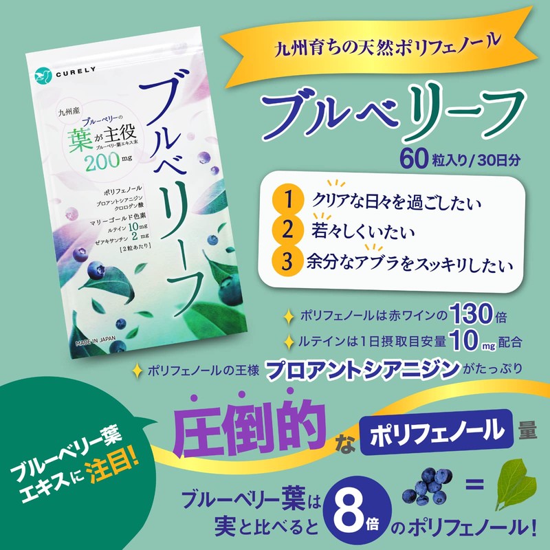 ブルベリーフ ブルーベリー ポリフェノール ルテイン サプリメント (大学/県との共同研究) 九州産 ゼアキサンチンプロアントシアニジン クロロゲン酸 農薬不使用