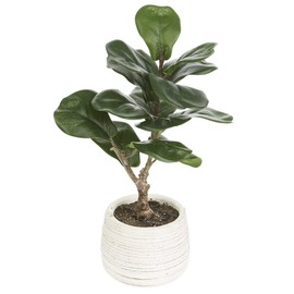 14" Silk Fiddle Leaf Fig Plant w/Cement Pot -Green (Pack of 6)