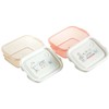 Skater FCN2WAG-A Sealing Container, 16.9 fl oz (500 ml), 2P,