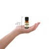 Plantlife Nutmeg 100% Pure Essential Oil - 10 ml