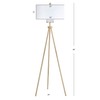 Safavieh FLL4008A Lighting Collection Enrica 66" Brass and Gold Floor