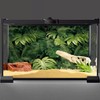 AWERT 36x18 inches Tropical Leaves Terrarium Background Polyester Reptile Habitat