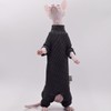Ropa de gato sin pelo de terciopelo de cuatro patas,