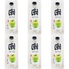 Green Apple Sparkling Water, Zero Sugar, Zero Calories, 480mL, 6-Pack
