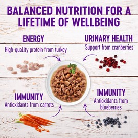 Wellness Healthy Indulgence Natural Grain Free Wet Cat Food, Morsels Turkey & Duck, 3-Ounce Pouch (Pack Of 24)