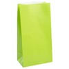 Vibrant Lime Green Paper Party Bags (Pack of 12) -