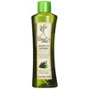 Arbol Verde Shampoo Natural Refrescante con Menta, Eucalipto, Té Verde