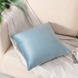 Artscope Luxury Velvet Pillow Covers Super Soft Decorative Square Throw Pillow Covers Case Cushion Covers for Sofa Couch Bedroom Car Decor 20x20 Inch Baby Blue