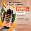 Turmeric Curcumin Supplement 2365 mg - Turmeric with Ginger &