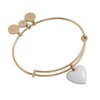 Alex and Ani Enamel Heart Charm Bangle