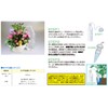 Maruhachi Industries Watering Sentries Houseplant Waterers, MFH405