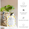 Davines The Spotlight Circle Mascarilla capilar para dar brillo 50