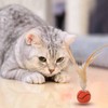 Eedoeccs Cat Toy, Cat Toy, Interactive Cat Ball, Winged Cat