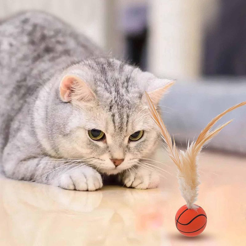 Eedoeccs Cat Toy, Cat Toy, Interactive Cat Ball, Winged Cat