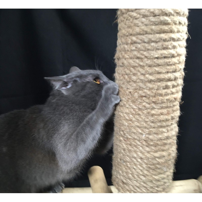 boohugger Bamboo and Jute Cat Scratching Post