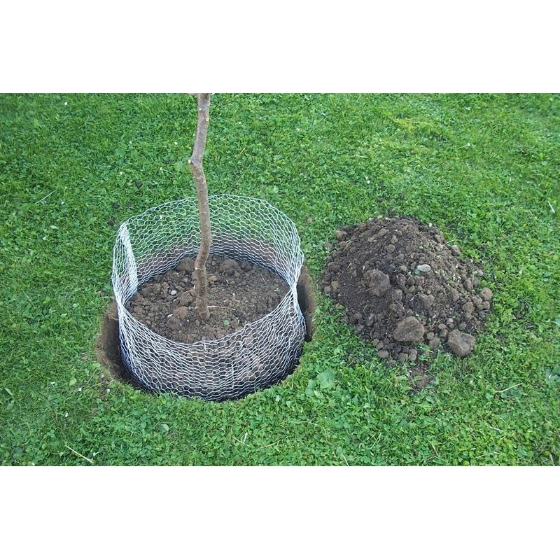 Kerbl 291174 Vole Basket Height 40 cm Diameter 35 cm