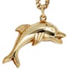 Jobo Locket 333 Gold Dolphin Regenbogen [Jewellery]