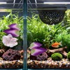 3Pcs Betta Fish Tank Accessories-Floating Betta Hide & Fish Leaf