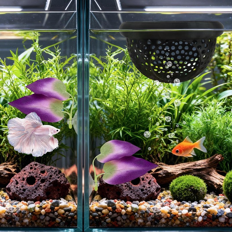 3Pcs Betta Fish Tank Accessories-Floating Betta Hide & Fish Leaf