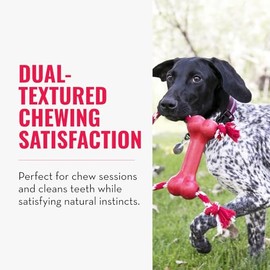 KONG Goodie Bone with Rope Dog Toy, Rojo, XS                                                                                                          