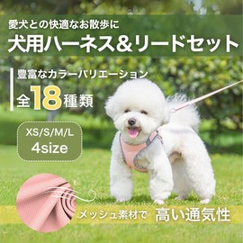 grooblue Dog Harness Lead Set for Small Dogs, Medium Dogs and Cats, Breathable Mesh, Lightweight, Easy to Put on and Take Off, Pull Prevention, Reflective, Adjustable, Cute, Fashionable (Pink, S)