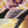 Noteworthy n,057 Eau De Parfum – Vanilla, Passionfruit, Tonka Bean