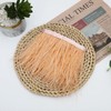 HaiMay 3 Yards Champagn Ostrich Feathers Fringe Trim Sewing Feather