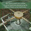 The Bean Organic Coffee Company Il Espresso, Classic Dark Roast,