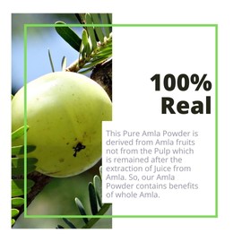 Generic SS Amla Powder 100% Natural, Pure and Chemical Free (175gm, Zipper Pouch) Whole Amla Fruit Powder/Indian Gooseberry Powder for Healthy Hair & Nourishment