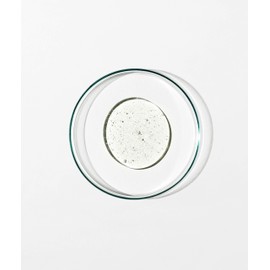 Grown Alchemist Nourishing - Shampoo 0.6: Damask Rose, Black Pepper, Sage, 200ml