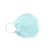 Cranberry USA Cranberry S3090Bcase S3 Mint Earloop Face Mask, Blue