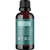 Thieves Myth Essential Oil Blend - Purification Essential Oil Blend