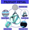 Moonpet Step in Air Boy Dog Harness Leash Set- All