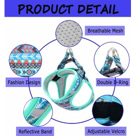Moonpet Step in Air Boy Dog Harness Leash Set- All Weather Reflective No-Pull Padded Mesh Vest Harness for Cats Puppy Extra-Small Small Medium Large Dogs - Mayan Mysteries - XL