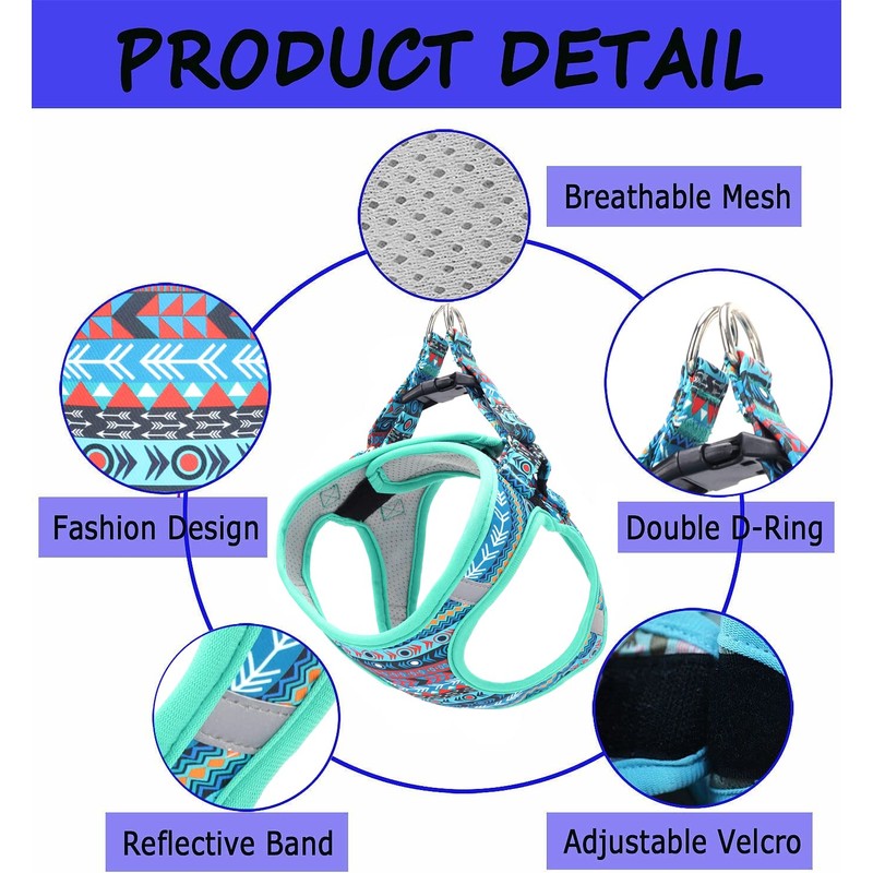 Moonpet Step in Air Boy Dog Harness Leash Set- All