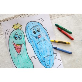 CrayonKing CrayonKing 25 Sets of 4-Packs in Cello (100 total bulk Crayons) Restaurants, Party Favors, Birthdays, School Teachers & Kids Coloring Non-Toxic Crayons