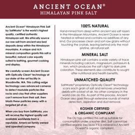 SALTWORKS Artisan Salt Company Ancient Ocean Himalayan Pink Salt, Fine Grain, Pour Spout Pouch, 16 Ounce