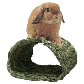 Warako Club Tunnel House