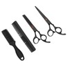 Hair Cutting Scissors Set with Straight Shear and Thinning Shear