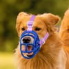 Dog Basket Muzzle for Anti Biting & Chewing, Lightweight Cage