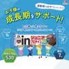 inバー ジュニアプロテイン ココア (12本入×1箱) プロテインバー たっぷりココアのウエファータイプ 高タンパク8g カルシウム・鉄・ビタミンD配合 成長応援プロテインバー 森永製菓